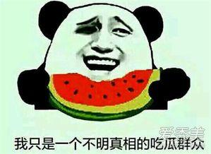 网上流行吃瓜是什么意思,吃瓜背后的文化现象